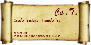 Csöndes Tamás névjegykártya
